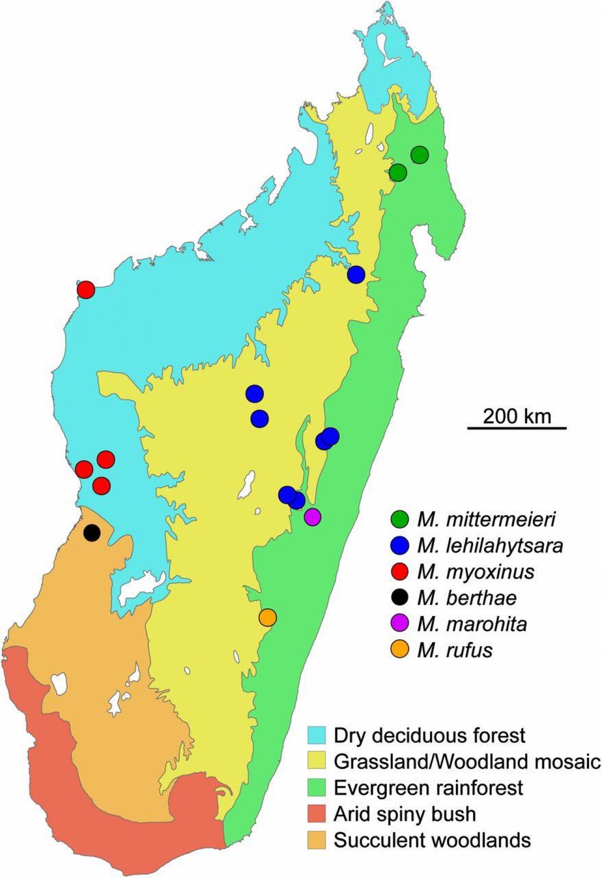 carte de la forêt tropicale de Madagascar