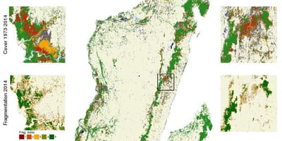 Carte de la déforestation à Madagascar