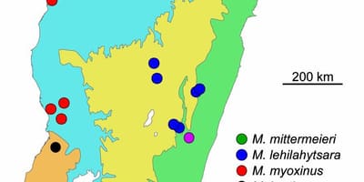 Carte de la forêt tropicale de Madagascar